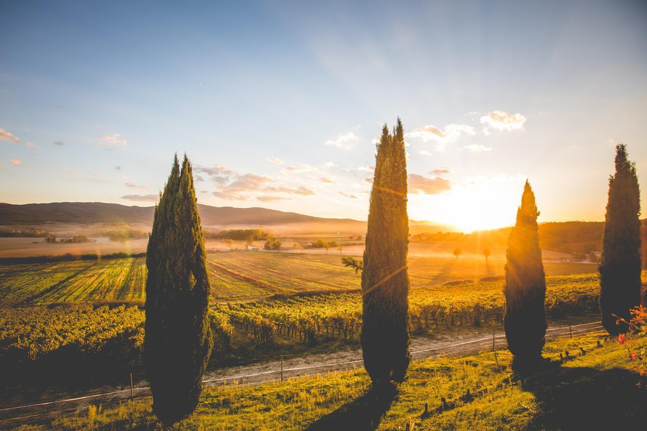 Willa Casali Di Bibbiano Buonconvento Zewnętrze zdjęcie